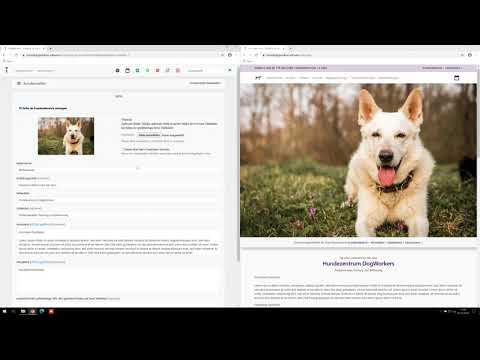 DogWorkers-Tutorial, Teil 6: Stammdaten, Kundenverwaltung und Kundenportal